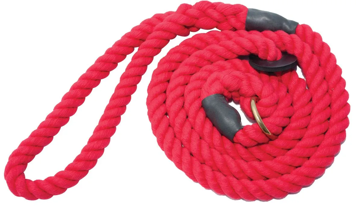 Bisley Elite Slip Lead